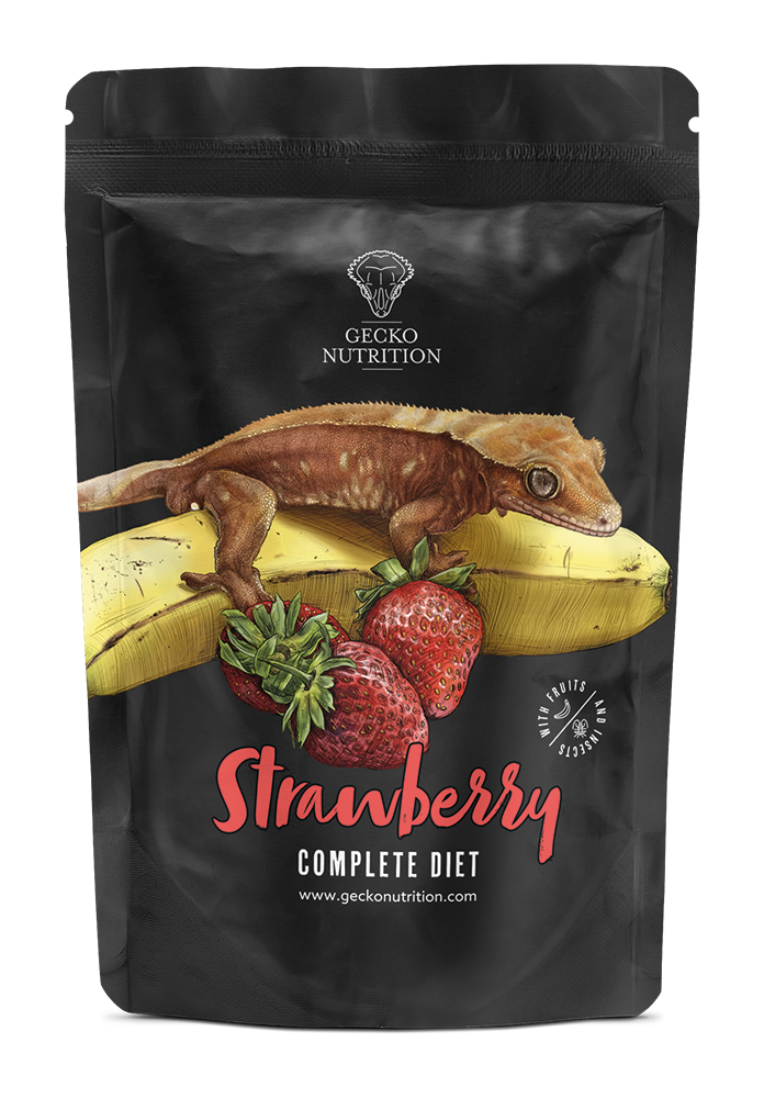 Gecko Nutrition Strawberry