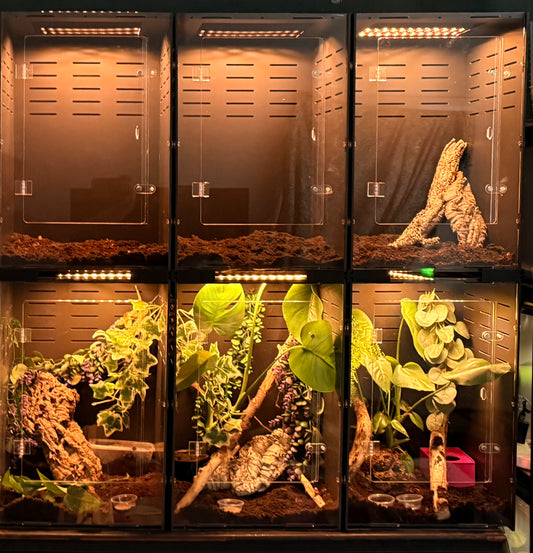 40cmx40cmx60cm terrarium (PVC and Acrylic)