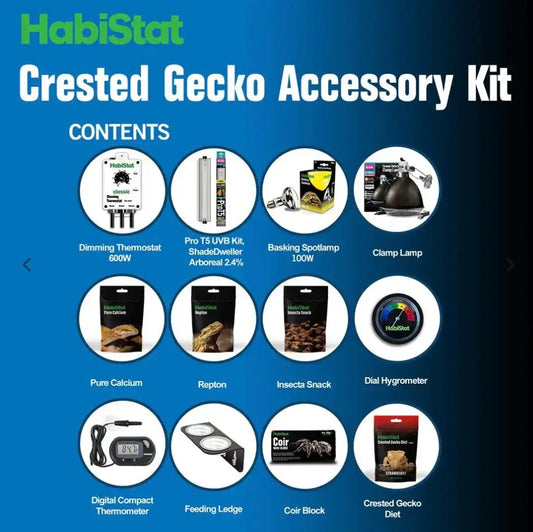 Crested Gecko Accessory Kit
