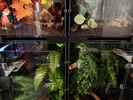 PVC terrarium stackers full set