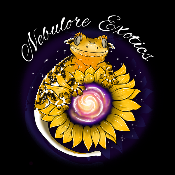 Nebulore Exotics